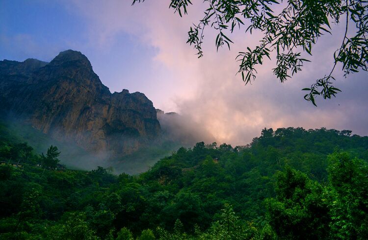 e22d029225a24dc4b69701bd3521d401